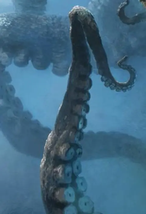 Is the Oklahoma Octopus Legend or Fact?