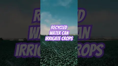 Monterey's GENIUS Water Recycling System Saves Farms