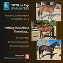 Preview: OTTB on Tap Evaluates Vol 6: Nothing Plain About These Bays!