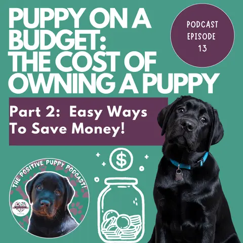 Episode 13: (Part 2) Puppy on a Budget - The Cost of Owning a Puppy