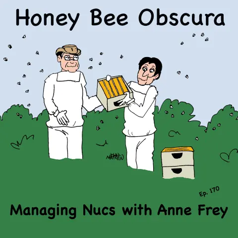 Managing Nucs with Anne Frey (170)