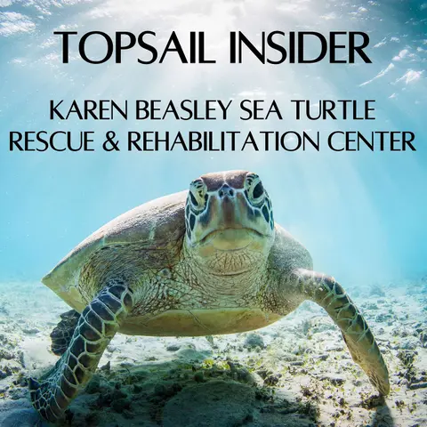 Karen Beasley Sea Turtle Rescue & Rehabilitation Center