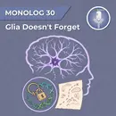 Monolog 30 - The glia doesn't forget
