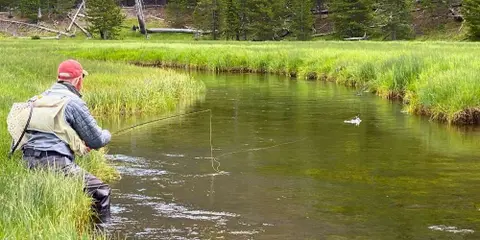 Fly Fishing Simplicity in Yellowstone Country with Craig Matthews