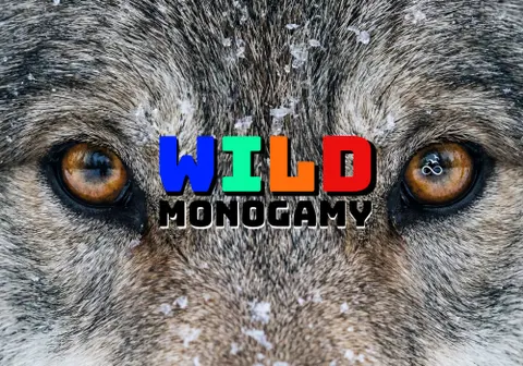 WILD MONOGAMY