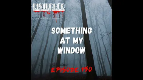 Something at My Window