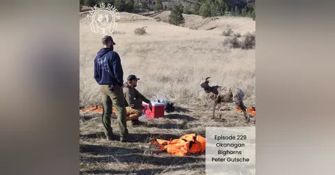 Okanagan Bighorns with Peter Gutsche