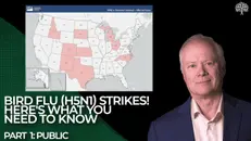 How Big Of A Threat Is It (H5N1)?