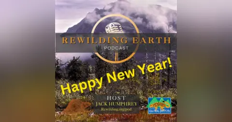 Episode 139: Year-End Recap With 2024 Guest Updates