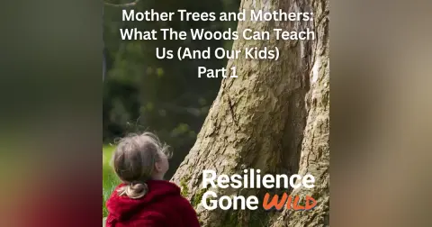 The Wood Wide Web: Mother Trees and the Hidden Science of Resilience, Part 1