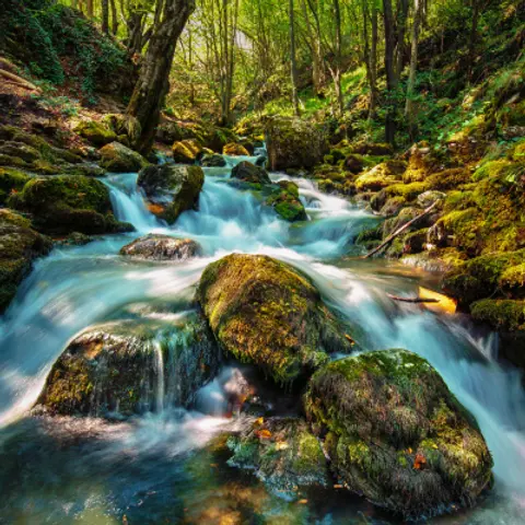 Watersheds & Fire