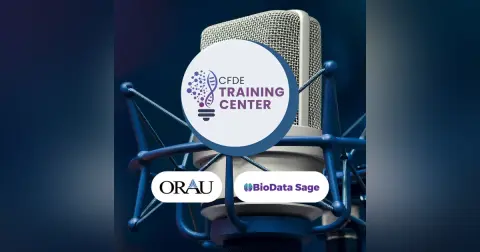 Episode 2: Reproducibility and Training on the Elements of Style