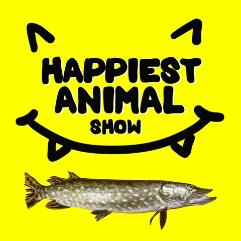 Lake Animals (with comedian Sean Jordan)