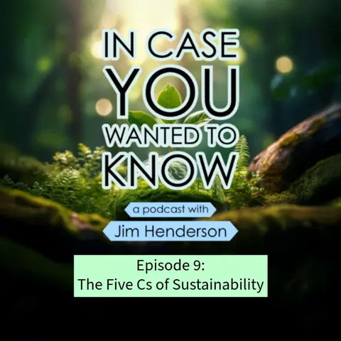 The Five Cs of Sustainability
