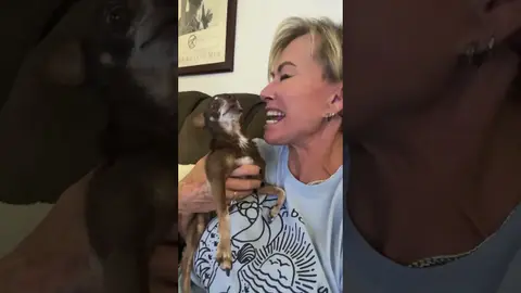 This Dog's Reaction Will Make You Laugh So Hard!