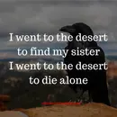 Three Nights in the Desert