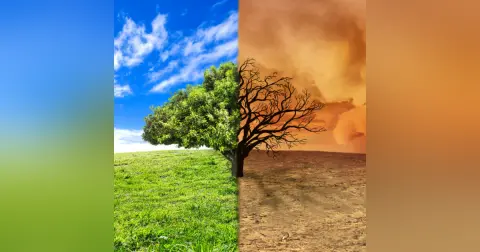 Climate Change