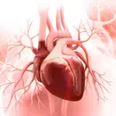 Right Ventricular Heart Failure
