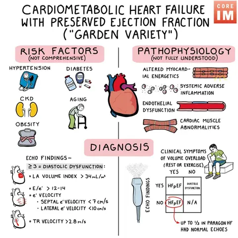 #153 HFpEF: 5 Pearls Segment