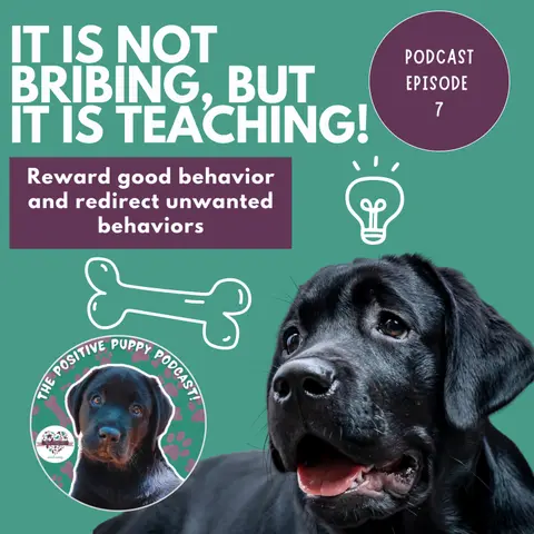 Episode 7: It's Not Bribing, It's Teaching!