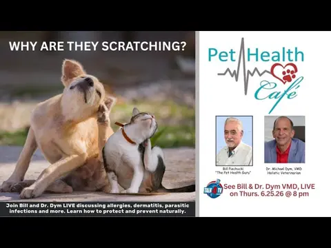 Why all the scratching?