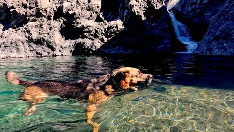 July Newsletter - Tuning in to the rhythms of nature & counting backwards for sleep