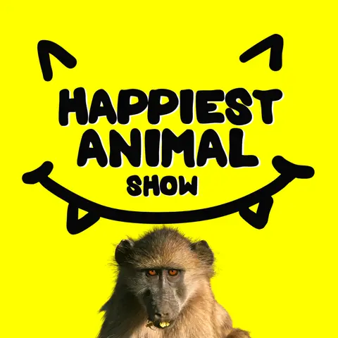 Smart Animals (with octopus scientist Chelsea Bennice)
