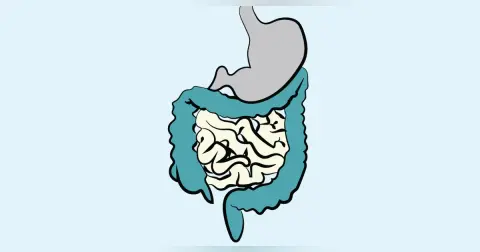 Food and Nutrition in Your Surgery Patients