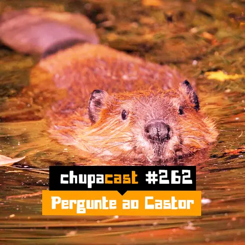 Episódio #262 – Pergunte ao castor