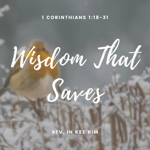 Wisdom That Saves