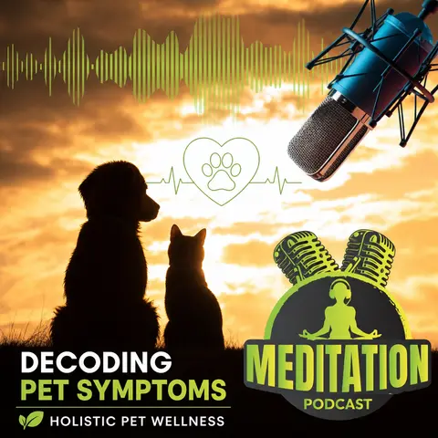 #314 Decoding Your Pet's Symptoms - Dr. Jeff Feinman on Holistic Pet Wellness
