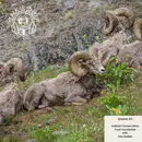 EP 120: Habitat Conservation Trust Foundation with Dan Buffett