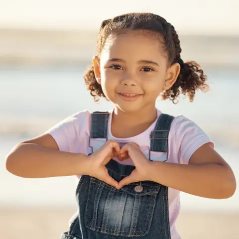 The Heart