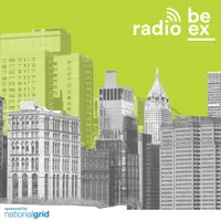 Radio BE-Ex