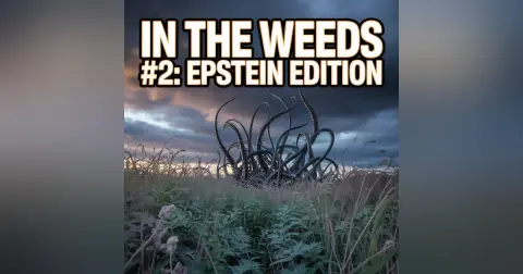 In The Weeds #2: Epstein Edition
