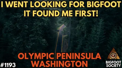 He Saw a Gray Bigfoot in Ocean Shores—Then It Got Closer