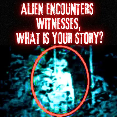 ALIEN Encounters Witnesses, What Is Your Story?