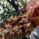 Patchwork of Promises