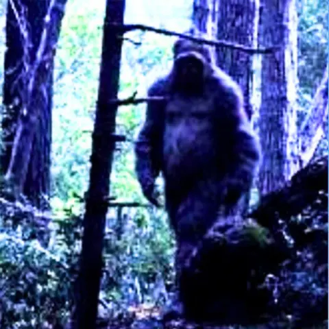 Homeless Couple Calls 911 on Bigfoot ACTUAL AUDIO