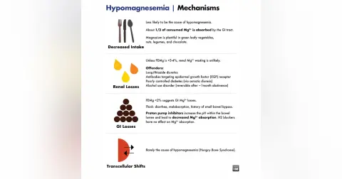 #143 Hypomagnesemia and Hypophosphatemia: 5 Pearls Segment