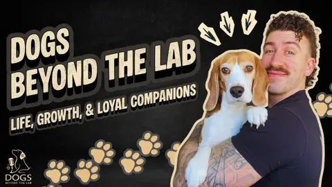 Snooper Star: Luke Toennies on his Beagle Snoop