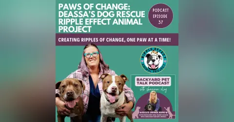 Paws of Change: Deassa’s Dog Rescue Ripple Effect Animal Project