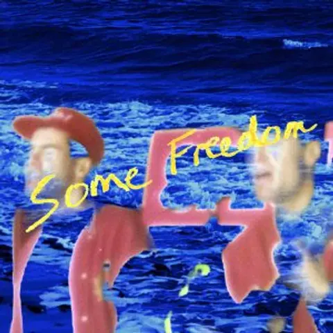 Some Freedom
