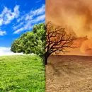 Climate Change
