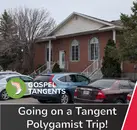 Going on a Polygamy Tangent (Nielsen-Naylor)