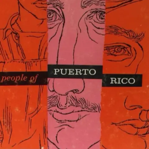 #1073 Las investigaciones sociales en Puerto Rico