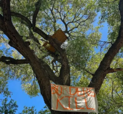 Episode 180: Activists Take to the Canopy to Defend Centuries-old Cottonwood, Cats, and Connectivity