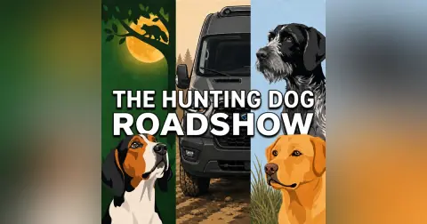 Welcome to The Hunting Dog Roadshow