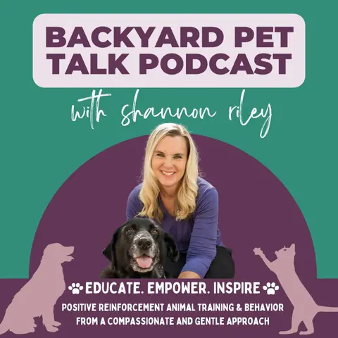 Understanding Pets Through Art with Lili Chin