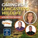 Caring for Lancaster's Wildlife Featuring Betsy Shanks: Episode 138